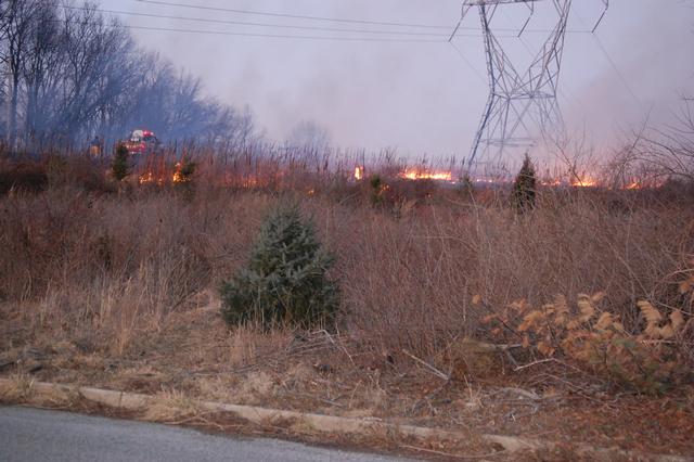Field Fire on MacKenzie Drive in West Goshen Township.  February 2009.