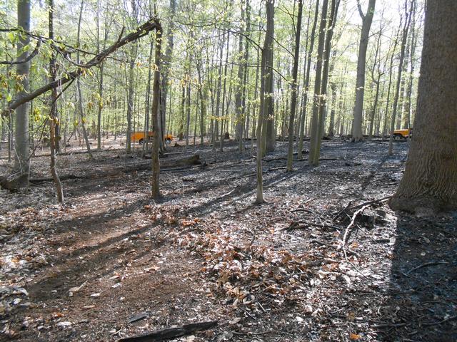 Jerrehian Estate, West Goshen Township, April 2013.