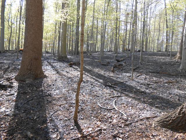 Jerrehian Estate, West Goshen Township, April 2013.