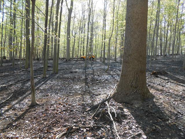 Jerrehian Estate, West Goshen Township, April 2013.