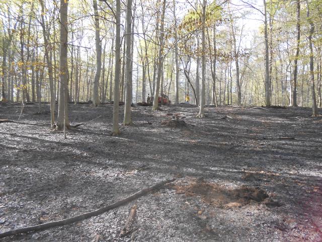 Jerrehian Estate, West Goshen Township, April 2013.