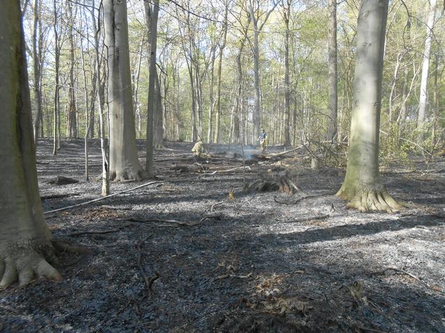 Jerrehian Estate, West Goshen Township, April 2013.