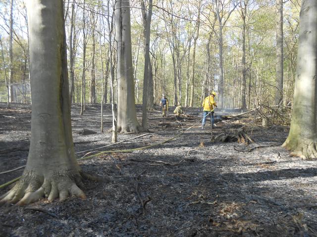 Jerrehian Estate, West Goshen Township, April 2013.