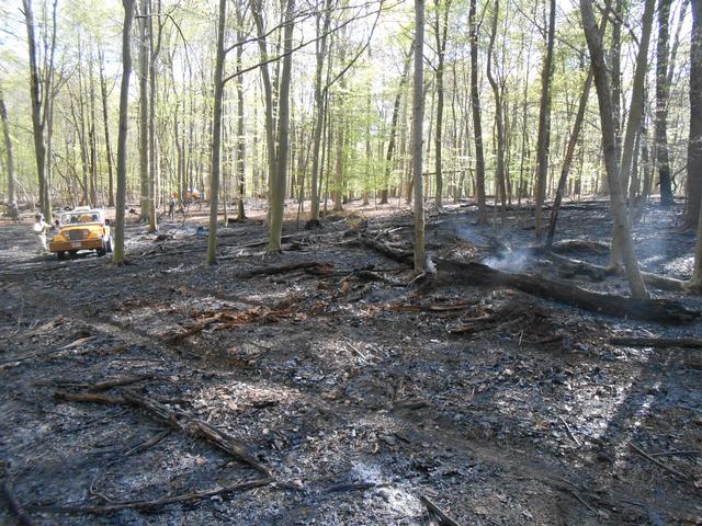 Jerrehian Estate, West Goshen Township, April 2013.