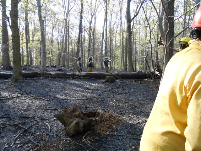 Jerrehian Estate, West Goshen Township, April 2013.